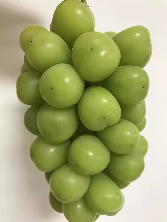 阳光玫瑰网红水果,阳光玫瑰水果视频