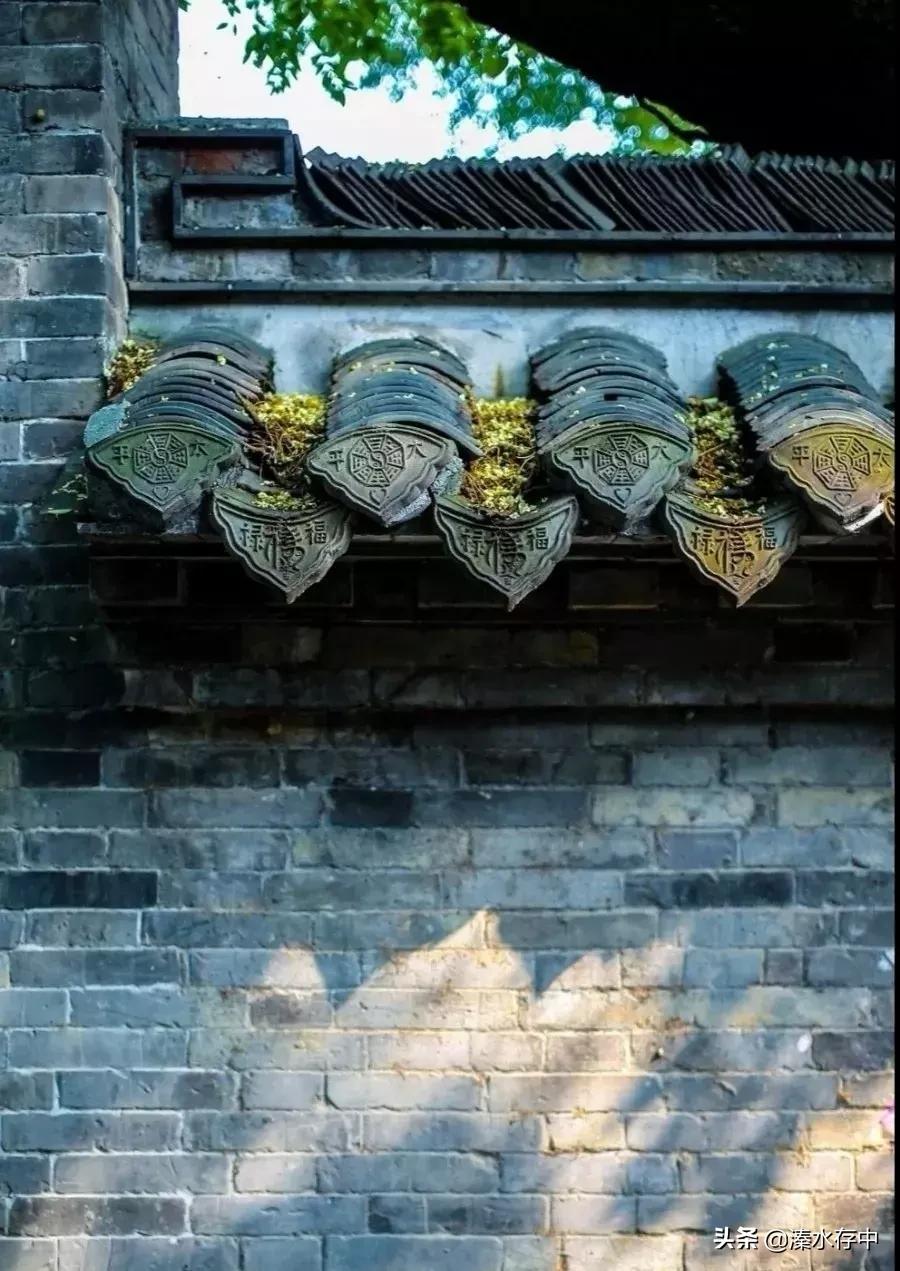 姜堰好吃又好玩的地方,56张美景图片大饱眼福