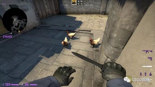 csgo老青年,csgo新青年