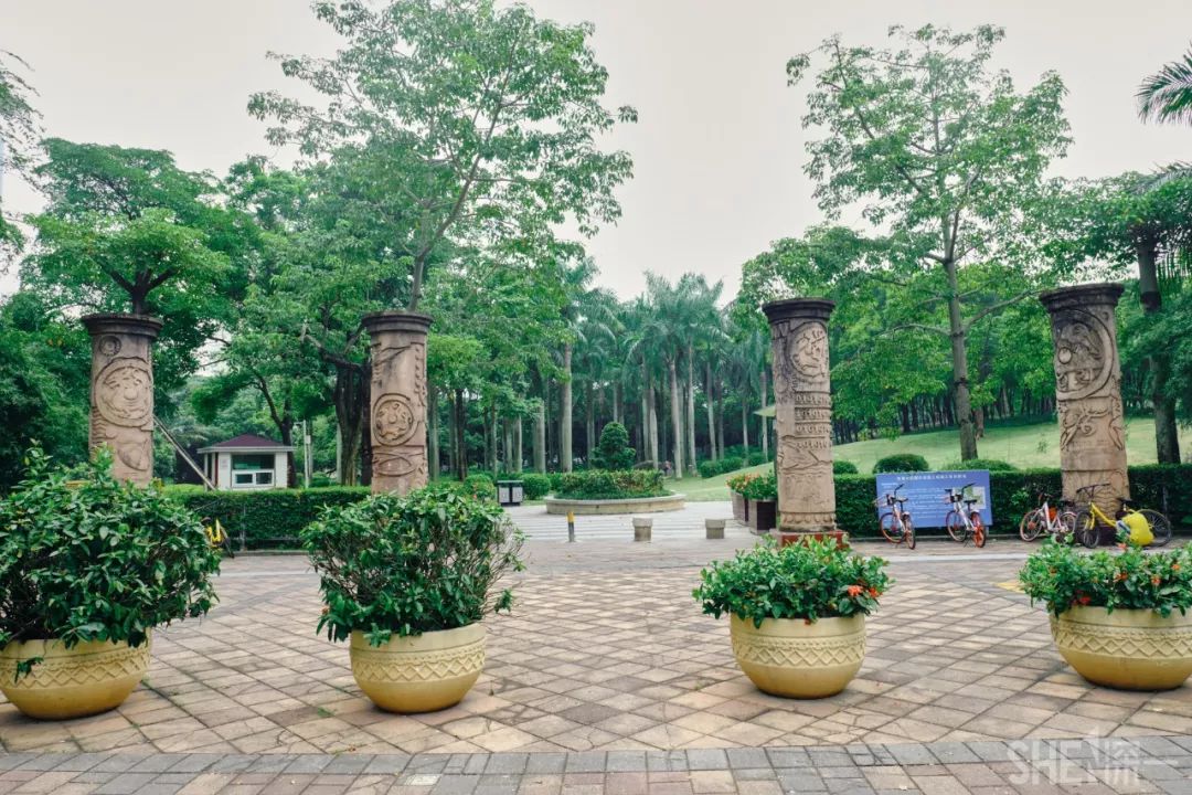 深圳蛇口前世今生,深圳蛇口有怎样的辉煌历史