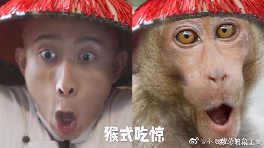 张一山鹿鼎记以后的现状,08版鹿鼎记结局