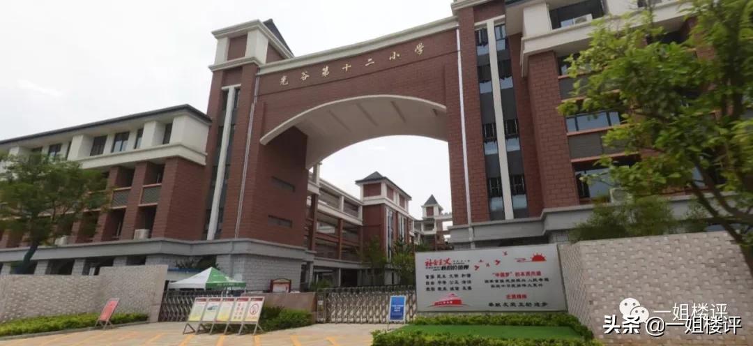 3年“狼来了”!光谷多少购房者失望放弃!又放风了!你倒是卖呀