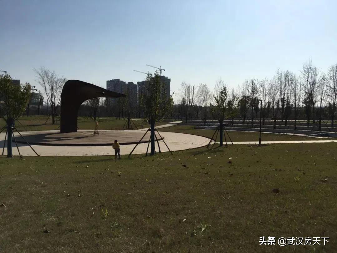 未来5年武汉龙湖,武汉市民又添春日好去处
