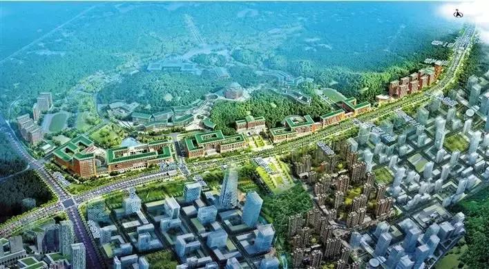 深圳光明发展最好的地方在哪,深圳光明区有什么好的地方