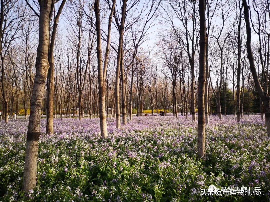 带娃周边3-4天自由行攻略,又到周末要带娃