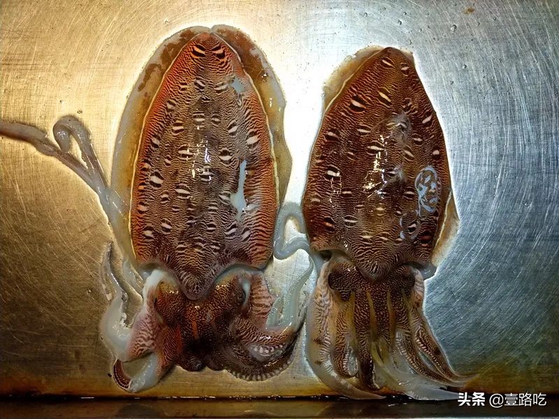 每天都有你想吃的海鲜美食,海鲜美食等你来品尝