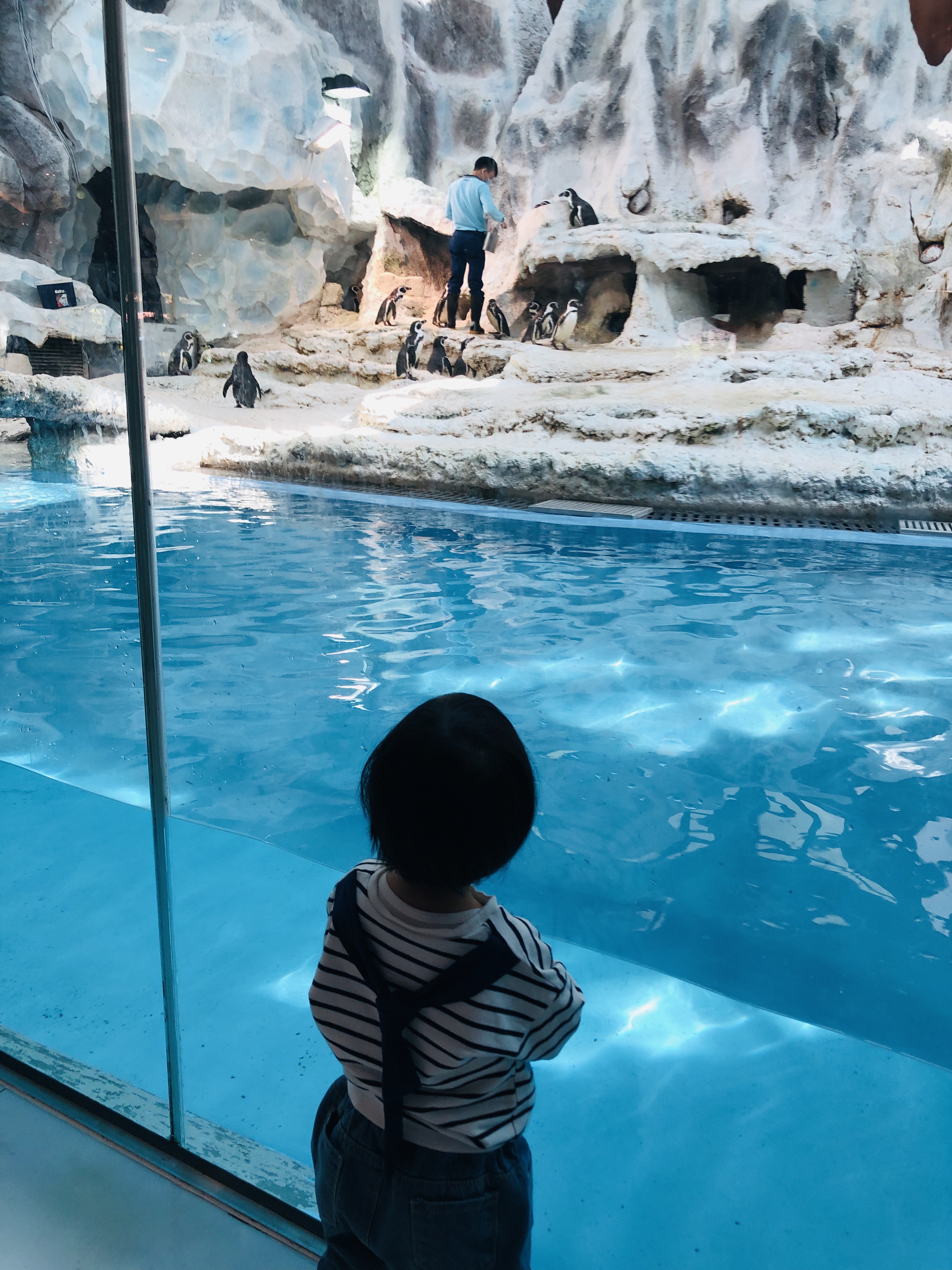 寒假带孩子去长隆玩什么,长隆寒假旅游攻略