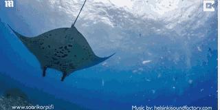 巴厘岛最垃圾的海滩,巴厘岛度假胜地