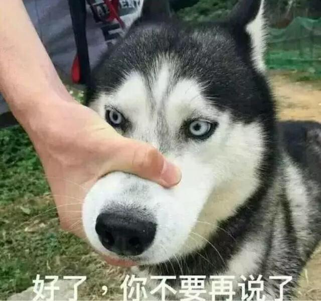 陆家嘴工作的真实生活,陆家嘴打工人沉浸式日常