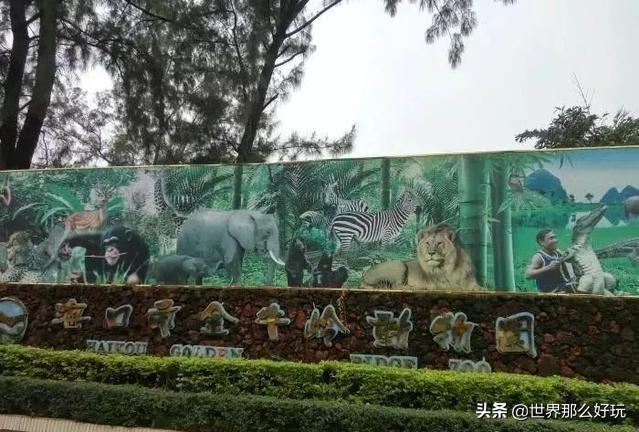 海南金牛岭动物园视频,海口金牛岭公园现在还有动物园吗