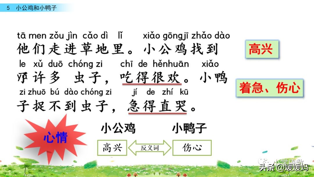 一年级小公鸡和小鸭子仿写句子,一年级小公鸡和小鸭子的看图写话