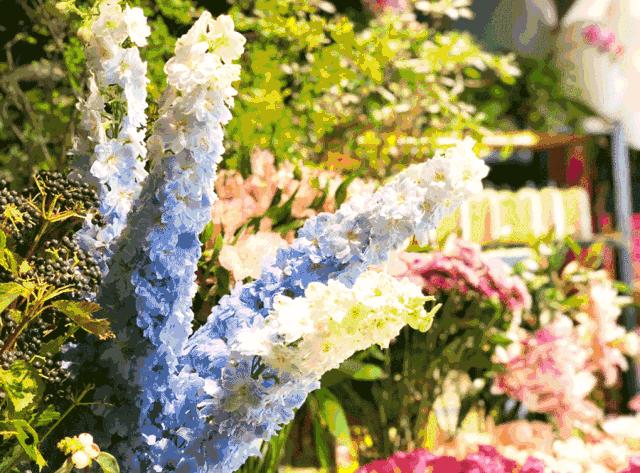 开年最有惊喜的餐厅,开年聚会餐厅