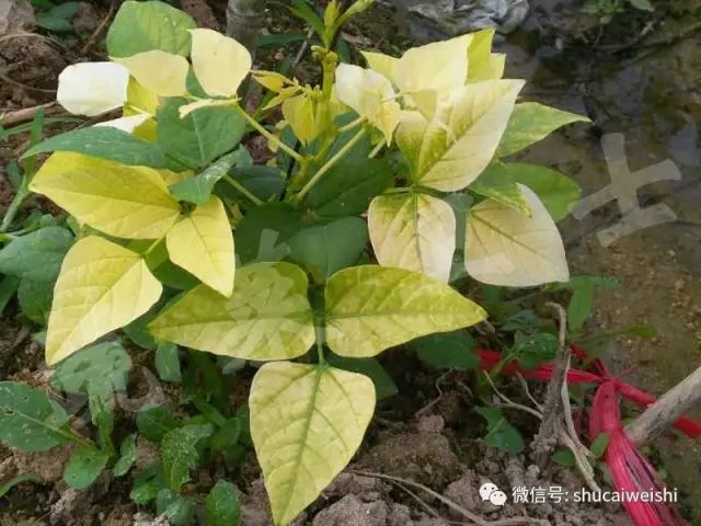 天气转凉如何预防,天气转凉吃什么药预防