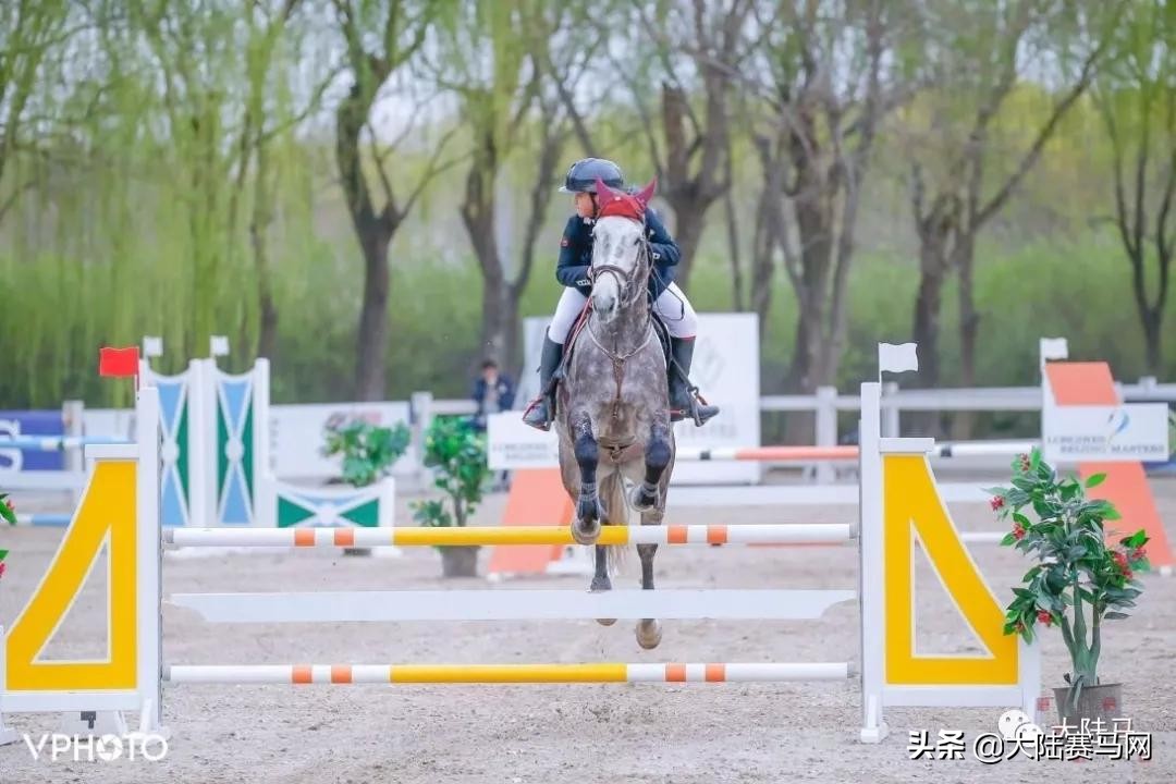 亳州马术,马术俱乐部亳州