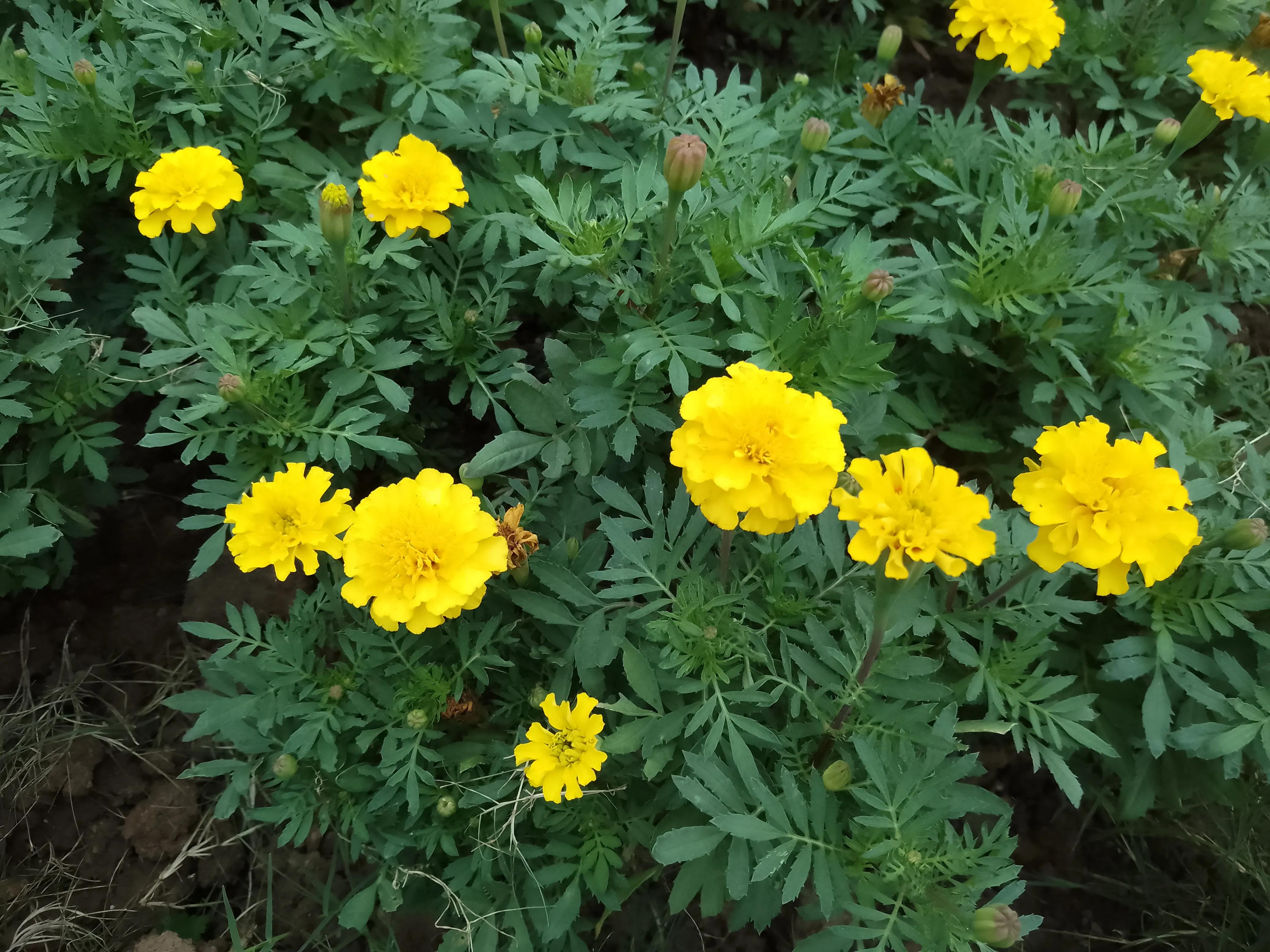 如何用一句话形容生产,怀孕到生产的辛苦与喜悦