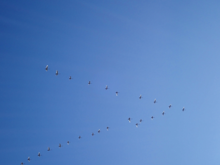 日本从南到北旅游路线,从南游到北