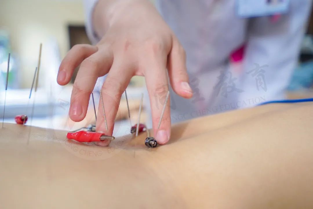 同呈教育|康复调理实习,白驹过隙,还需回顾自己