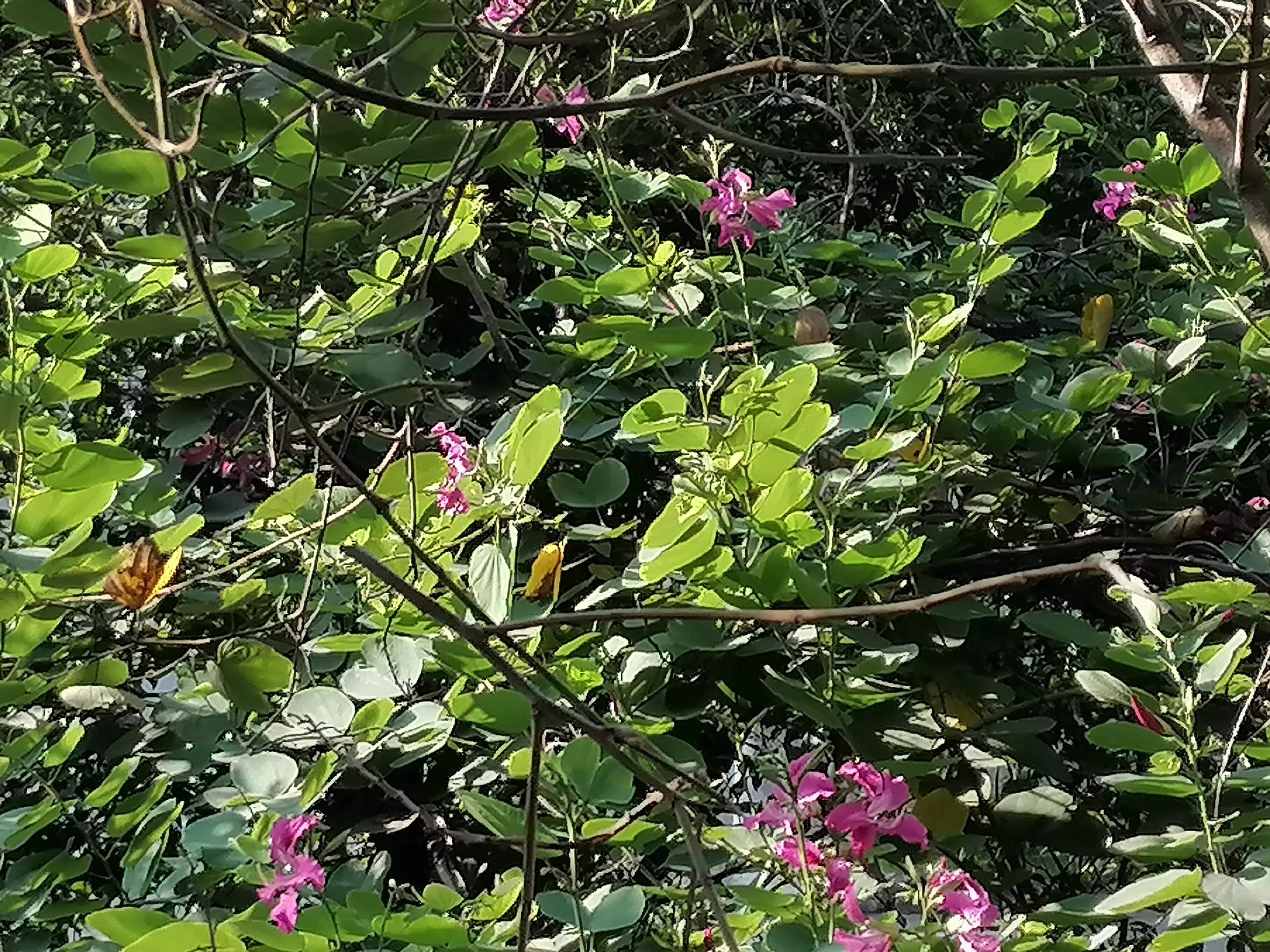 网贷信用卡逾期后被起诉,信用卡网贷逾期后起诉