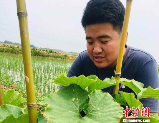 合肥留洋硕士平东林带领乡亲致富