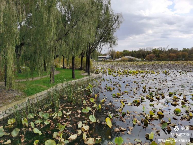 哈尔滨素描俱乐部,哈尔滨素描画室