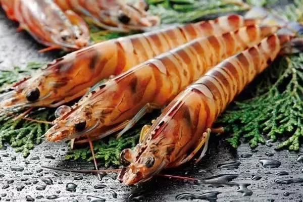 原神美食点评,江户前美食攻略