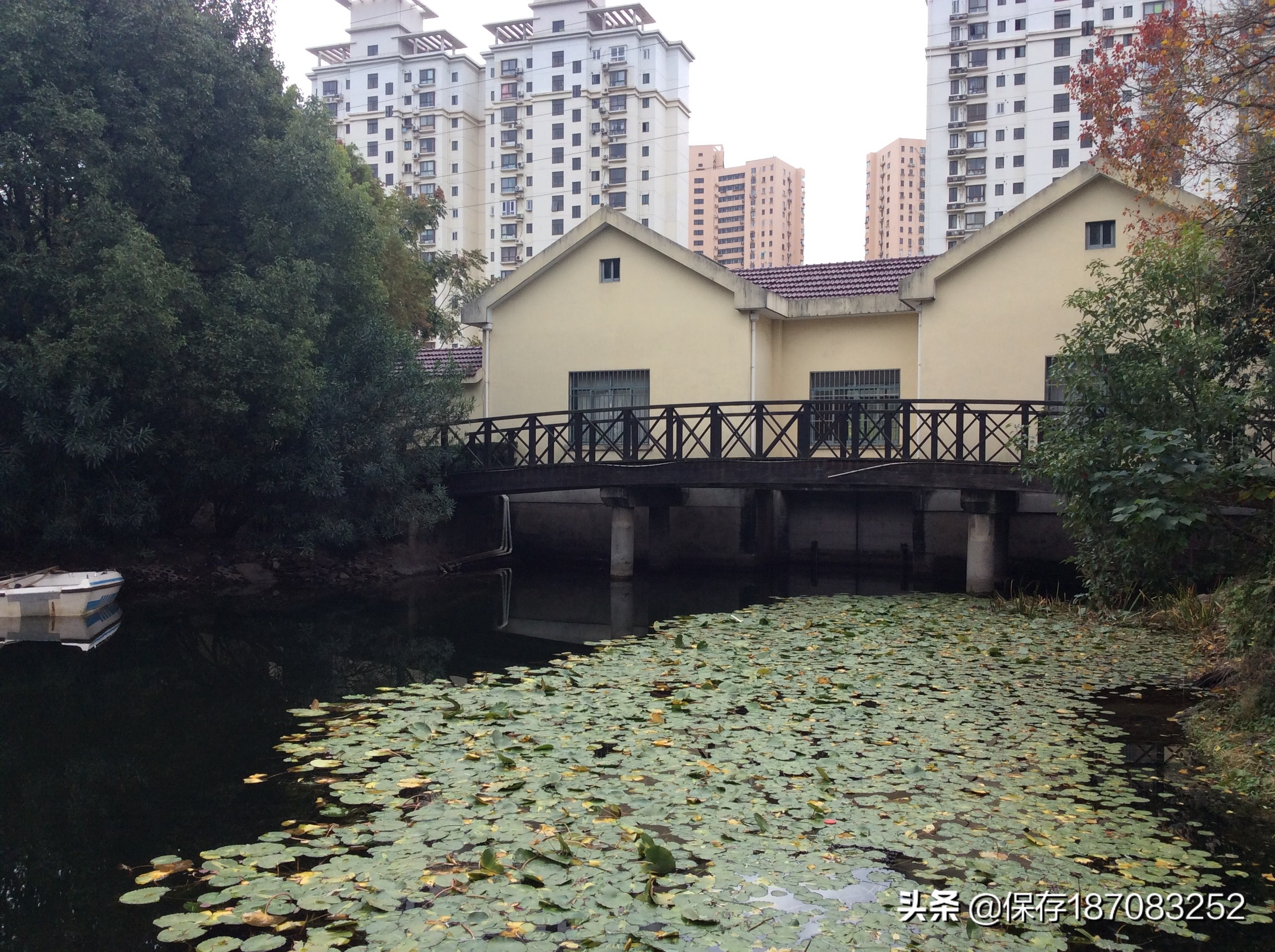 上海徐汇区公园名单,上海梦核公园