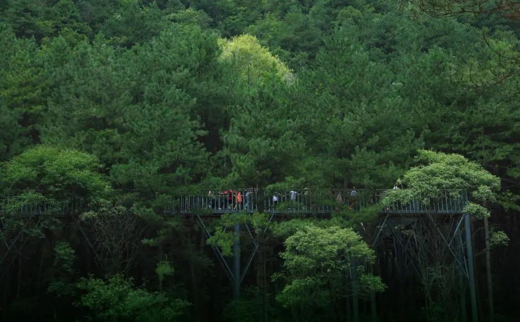 陕西省天然空调城在哪里,陕西最凉快的几个县城