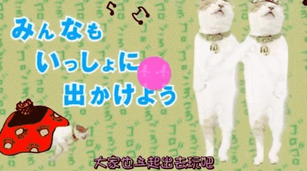 旅游宣传片高级感照片,文旅精品旅游线路宣传片