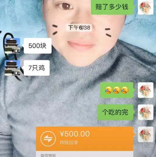 带狗狗回老家过年需要注意什么,带狗狗回家需要准备什么