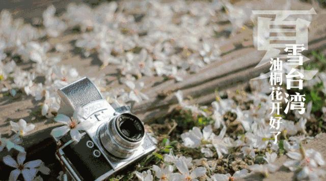 从化旅游景点大全樱花,从化樱花旅游景点