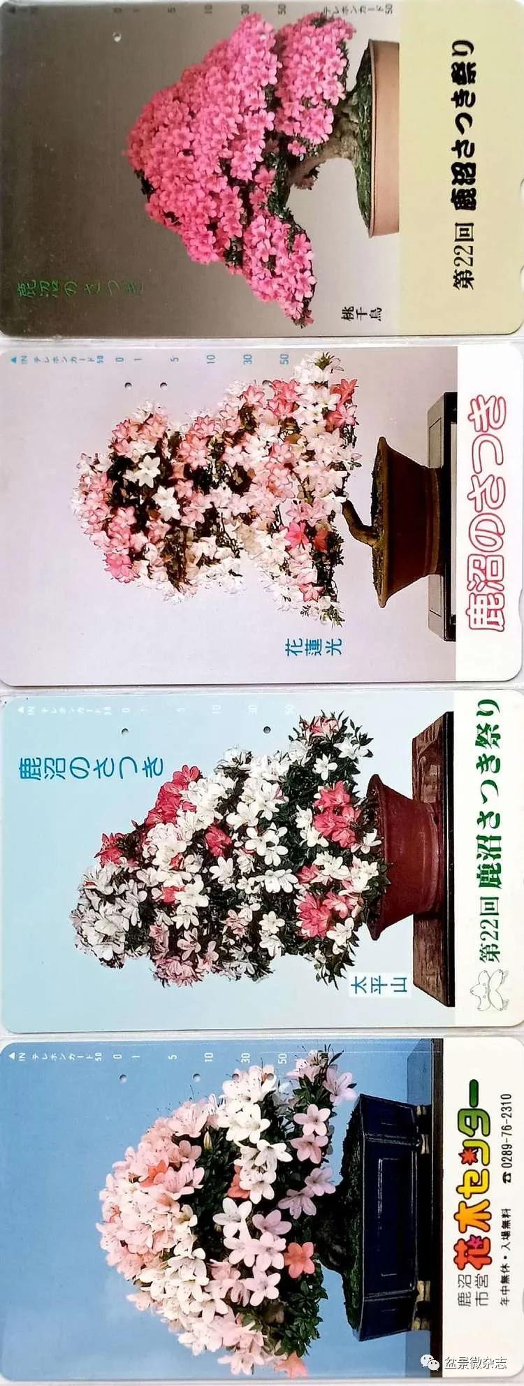 鐩嗘櫙鑱旂郴鐢佃瘽鍙风爜,涓鐩嗘櫙鑱旂郴鏂瑰紡