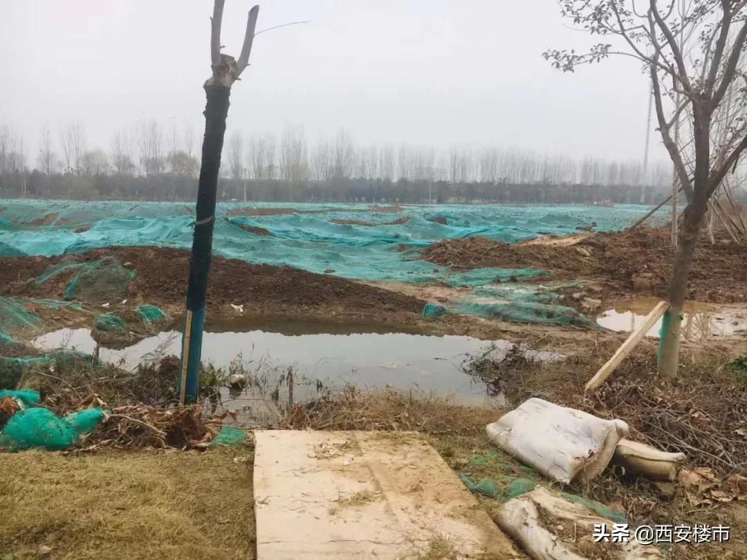 金辉崇文府什么时候交房,金辉崇文府哪年开始卖的