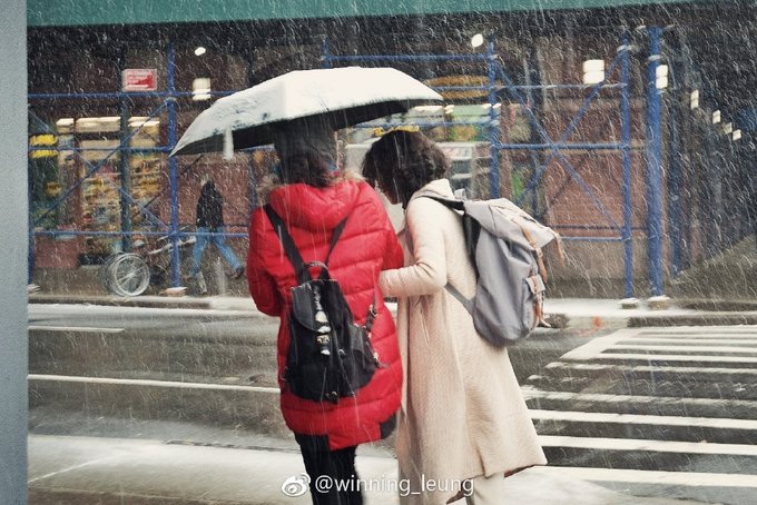 纽约中央公园世界奇迹,纽约中央公园浦东世纪公园