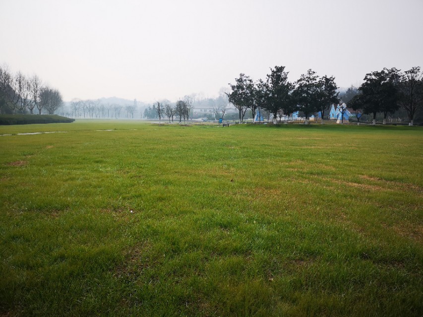 宜兴竹海游和龙背山森林公园游记