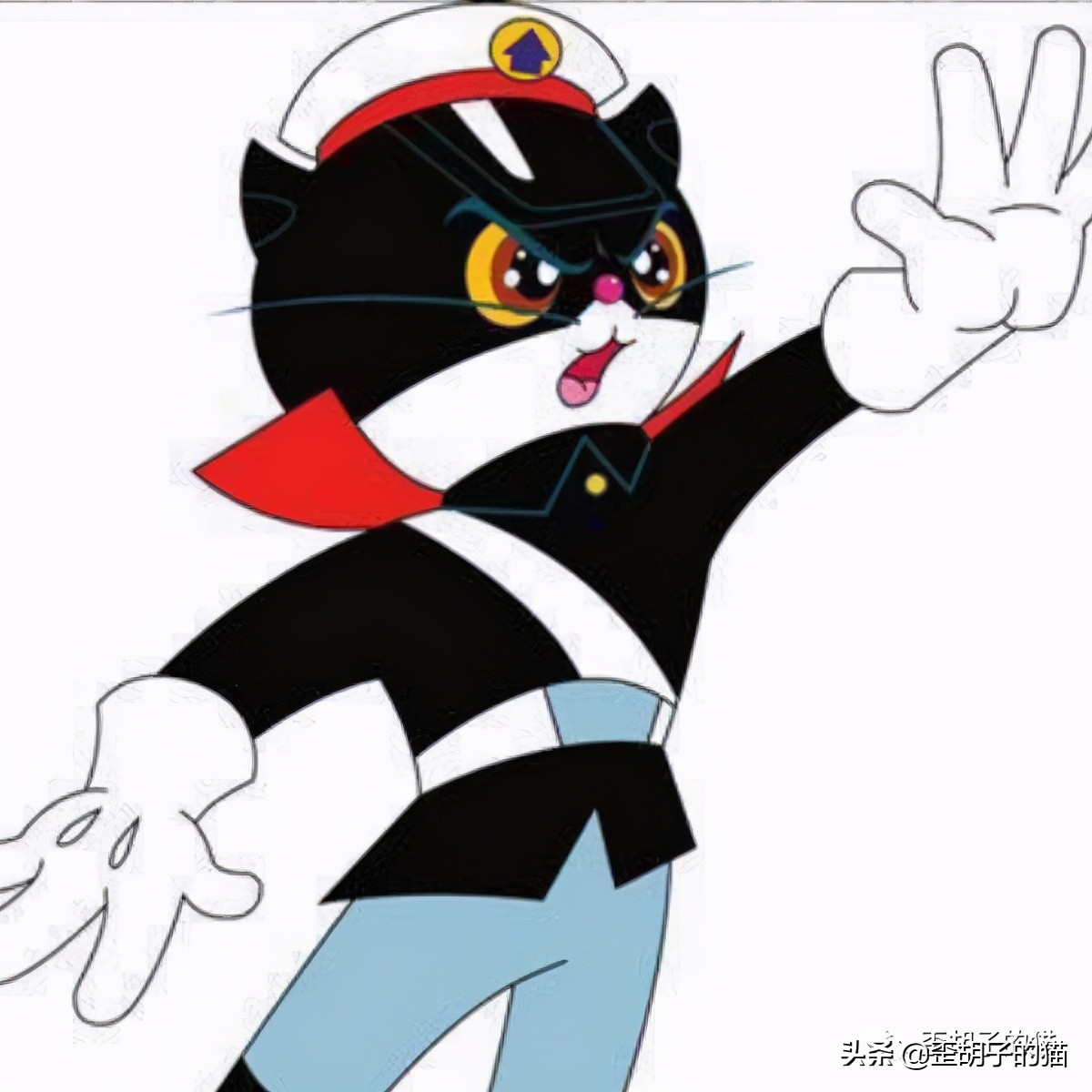 「歪胡子的猫」盘点中美日动漫中的猫咪现实中的样子