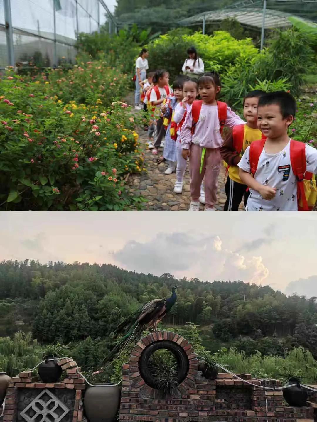 亲子农庄应该怎么玩,农庄旅游攻略亲子游