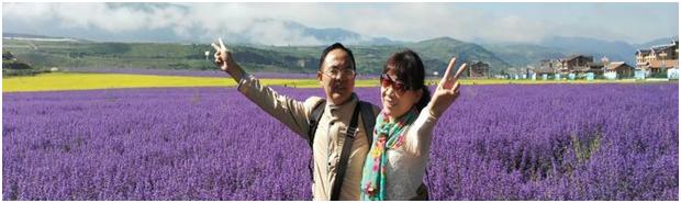 又是一年春草绿又是十里杏花红,杏花村春风十里