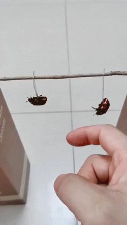 空中一字马搞笑图,一个突如其来的一字马