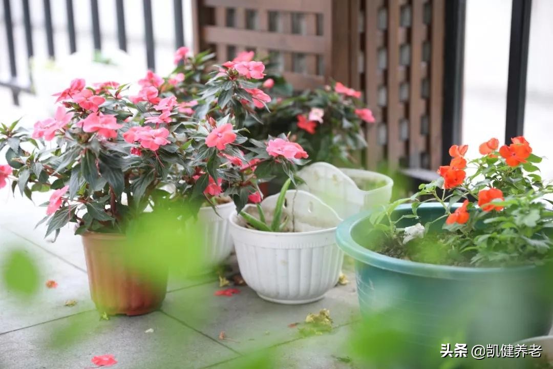 如何为“挑剔”的父母选择养老院？