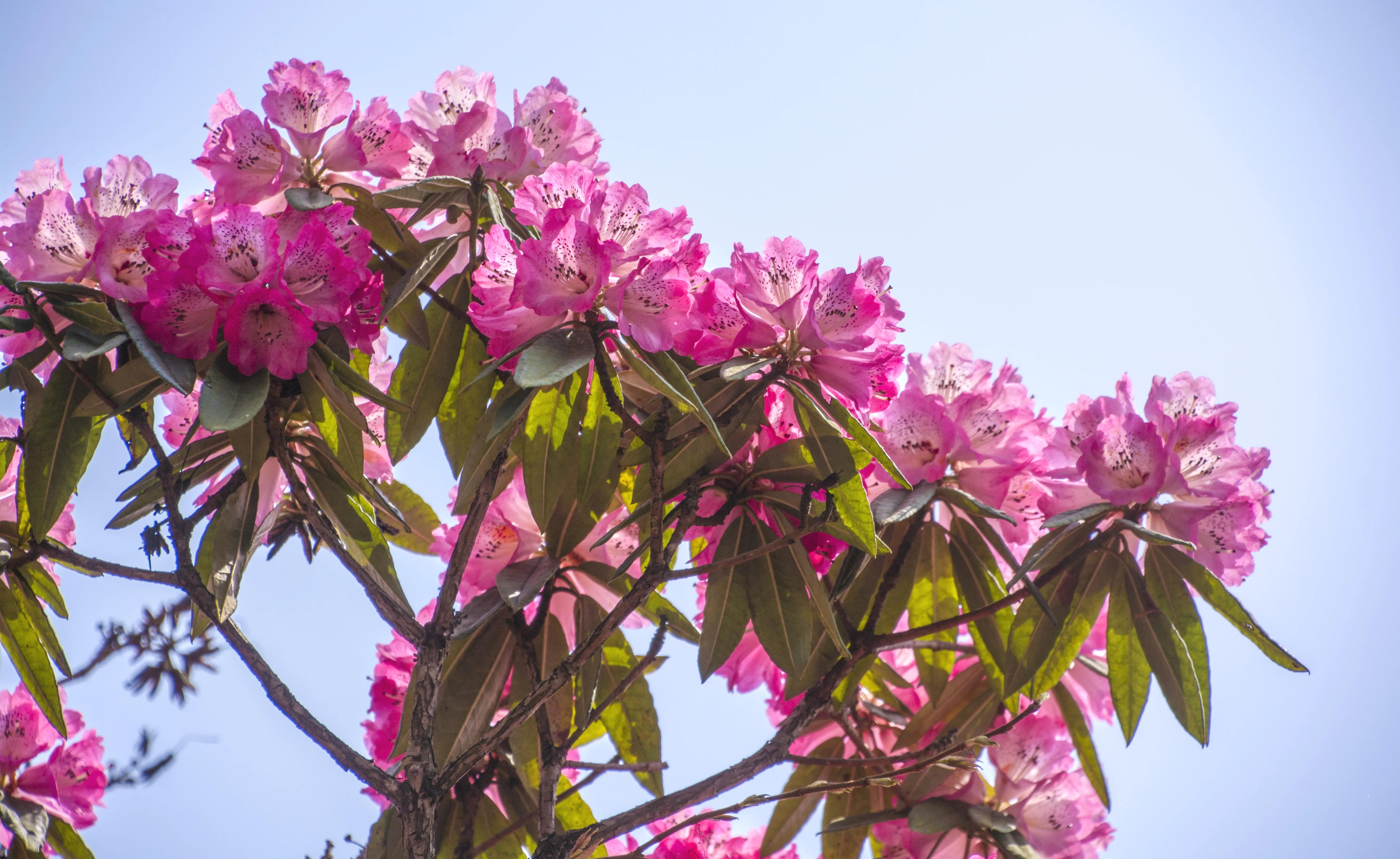 贵州大学1984级管科系同学欢聚毕节录