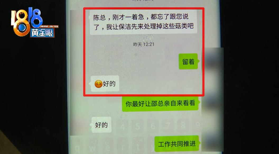 千万豪宅突然长出蘑菇,千万豪宅被收