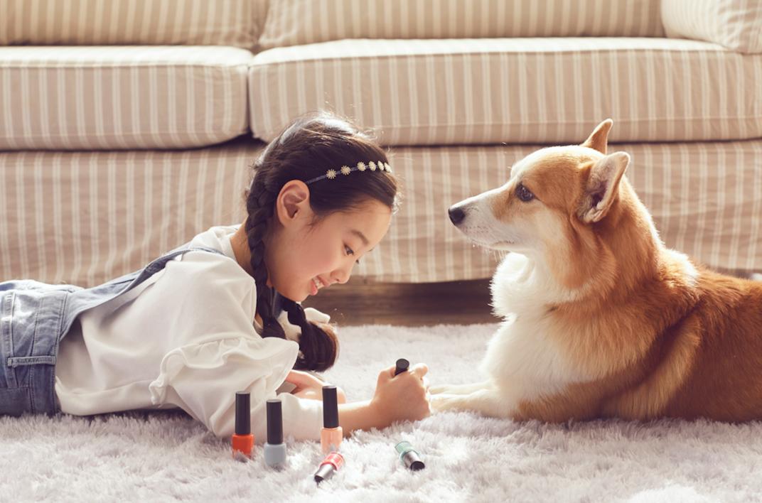 医生5天出师、35万加盟宠物店，谁在拿“毛孩子”肆意收割？