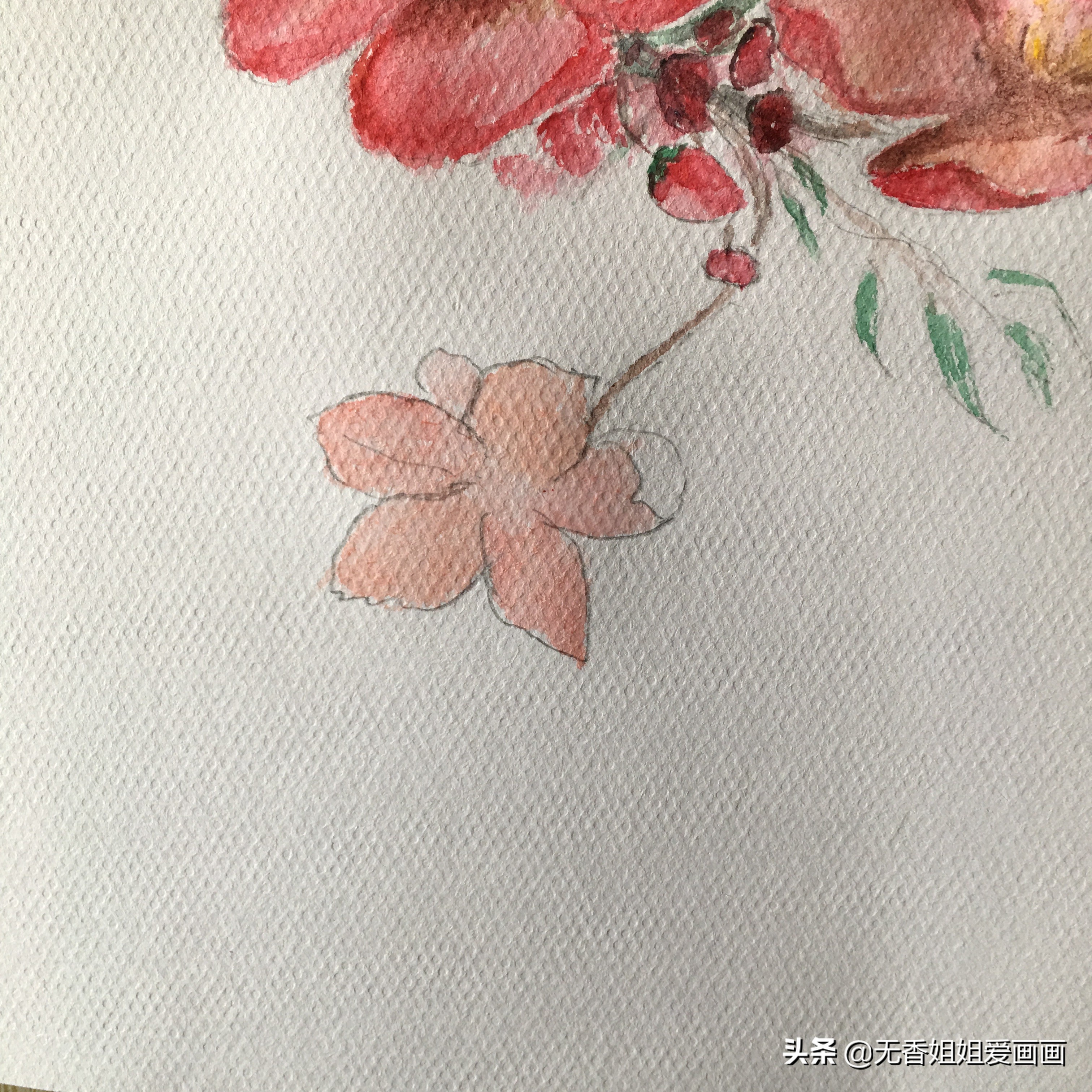 手绘桃花图片小学,马克笔手绘教程桃花