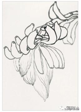 芭蕉叶画法教程,国画芭蕉画法视频