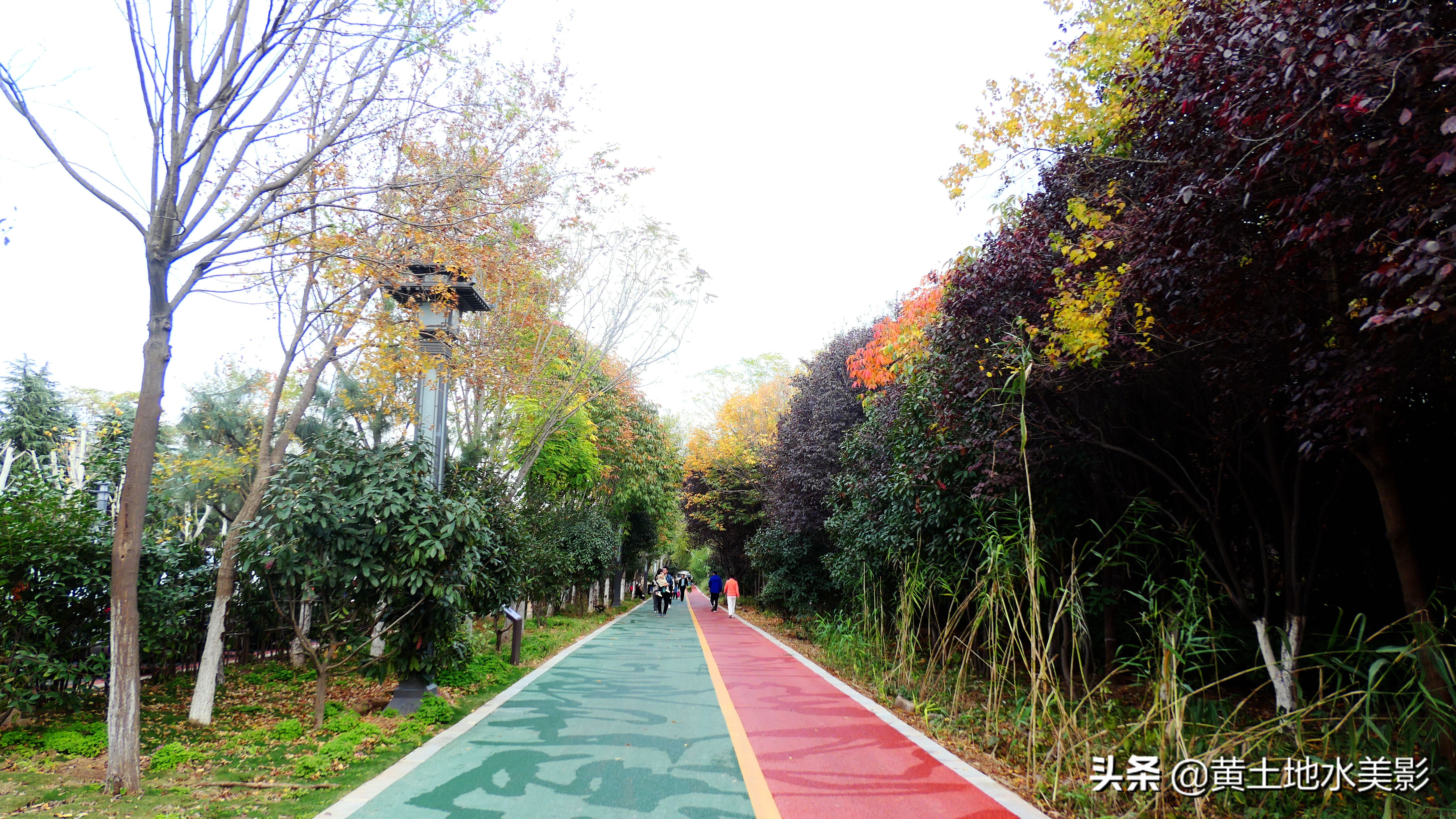 占地590亩的湿地公园,野生动物比较多的旅游景区