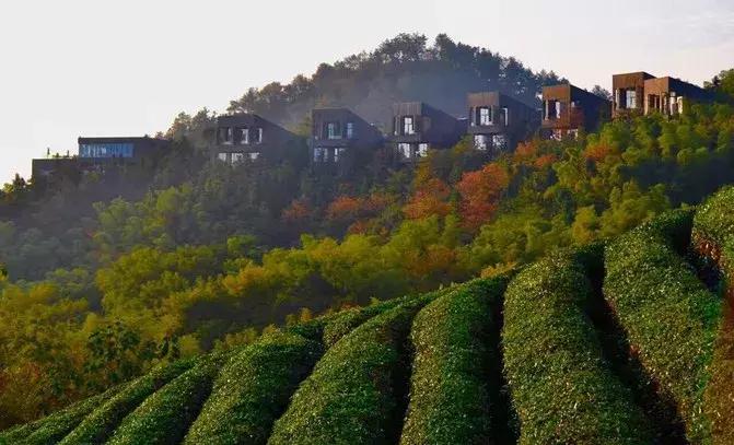 这家藏在村子里的网红民宿,隐藏在深山里面的生态度假村
