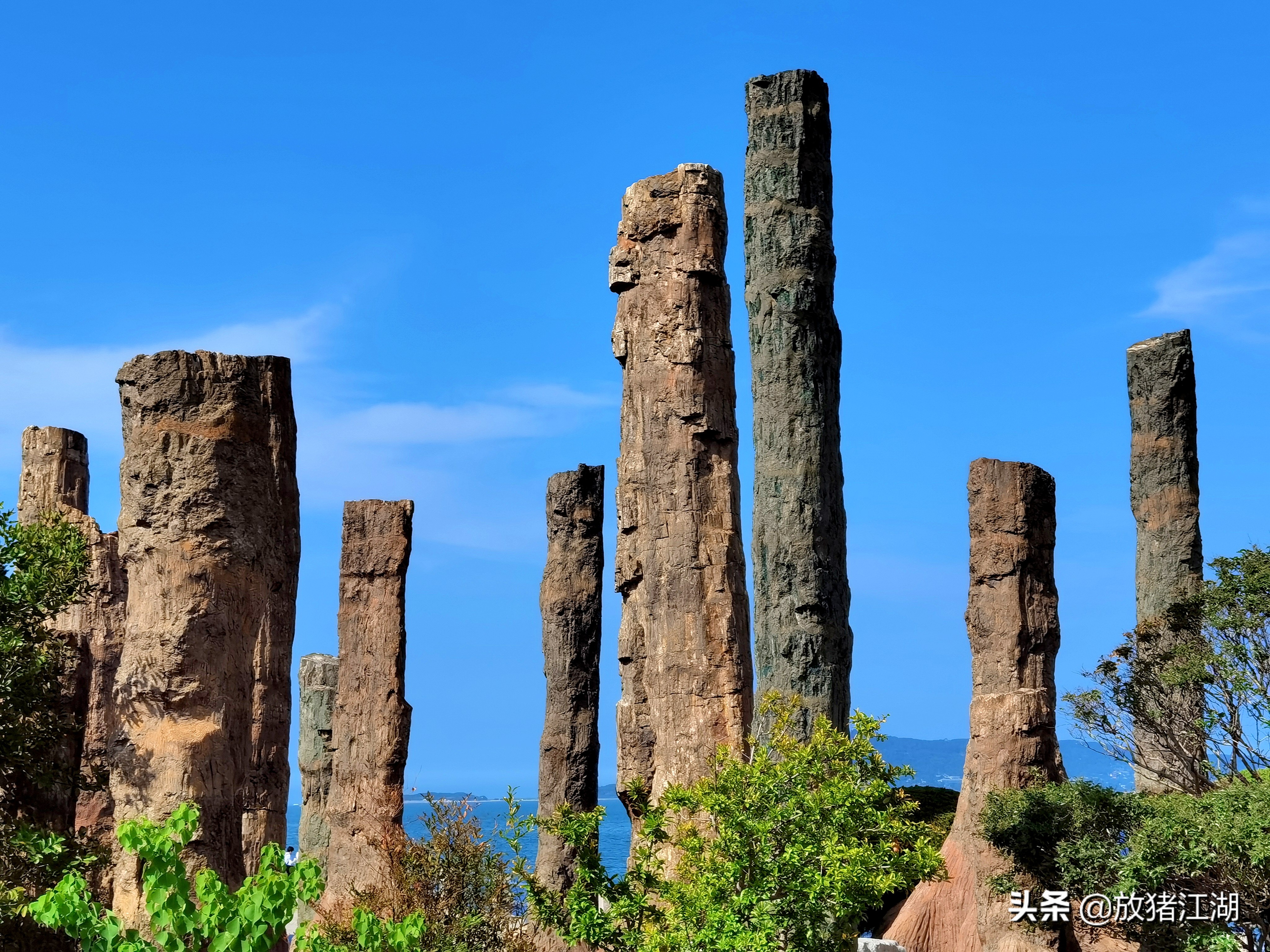 不要怀疑，威海公园中的这些木化石都是真品