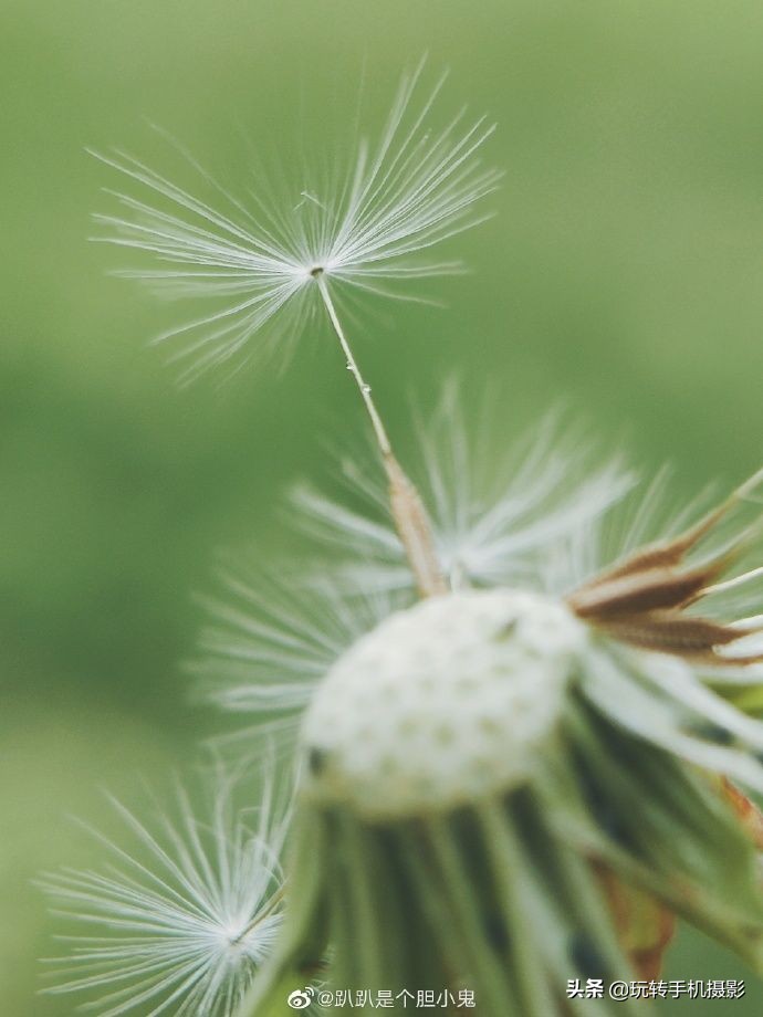 小米手机的遗憾之作,小米手机真香内行人都推荐这三款