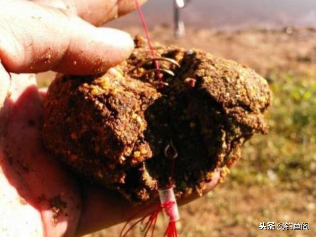 抛竿爆炸钩鲤鱼鲫鱼饵料选择,抛竿爆炸钩如何装饵料