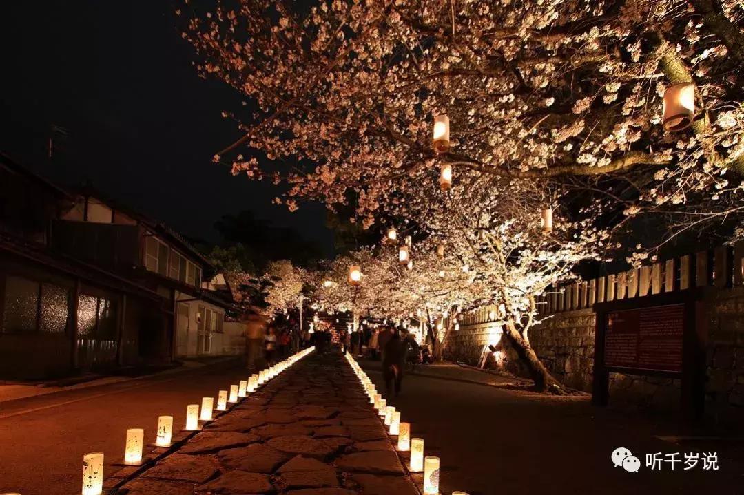 日本东京熊本熊,日本熊本游